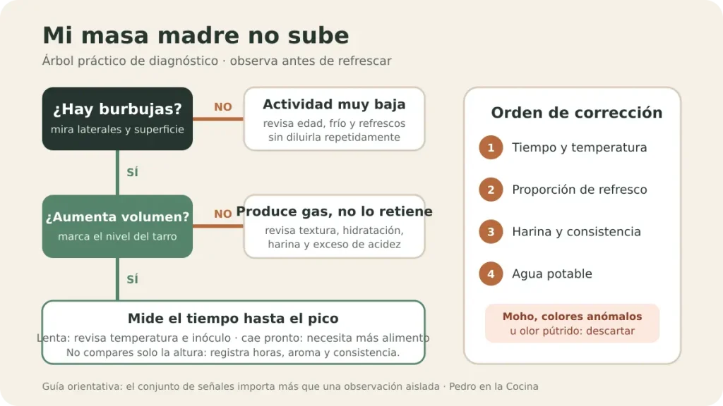 Mi masa madre no sube: causas, diagnóstico y cómo recuperarla
