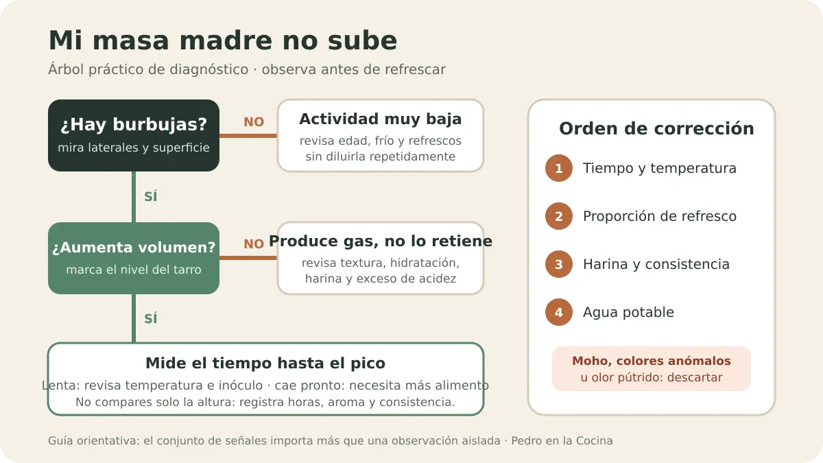 Árbol de diagnóstico para una masa madre que no sube: burbujas, volumen, temperatura, refresco y señales de alerta